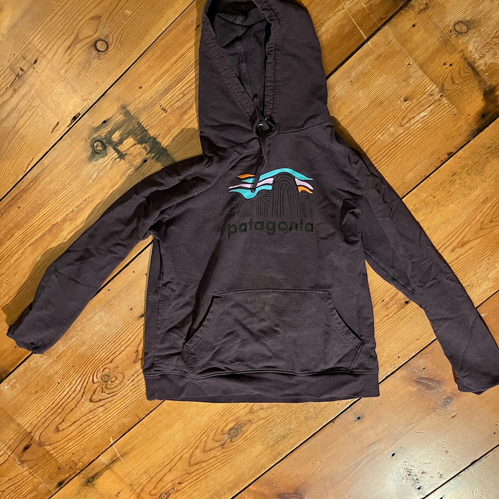 Patagonia Hoodie